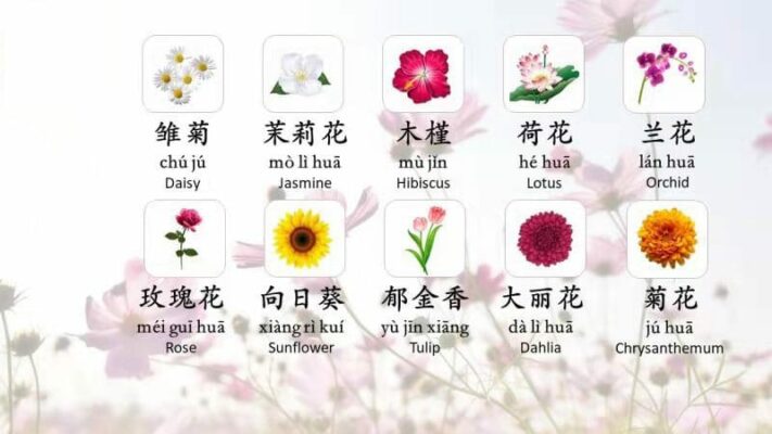 cover image for goeast mandarin's post on how to say fowers in chinese