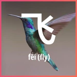 Chinese character: fly