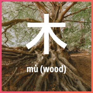 Chinese character: wood