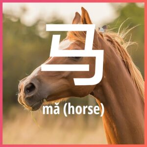 Chinese character: horse