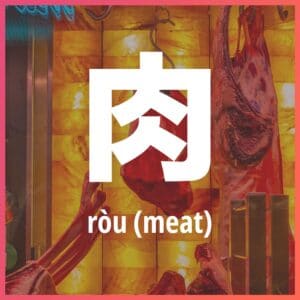 Chinese character: meat