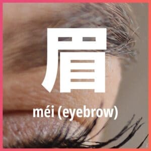 Chinese character: eyebrow