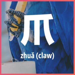 Chinese character: claw