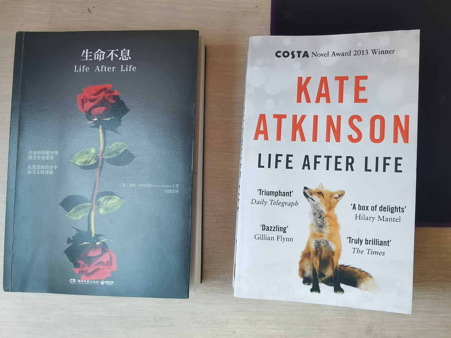 Life after life Chinese book