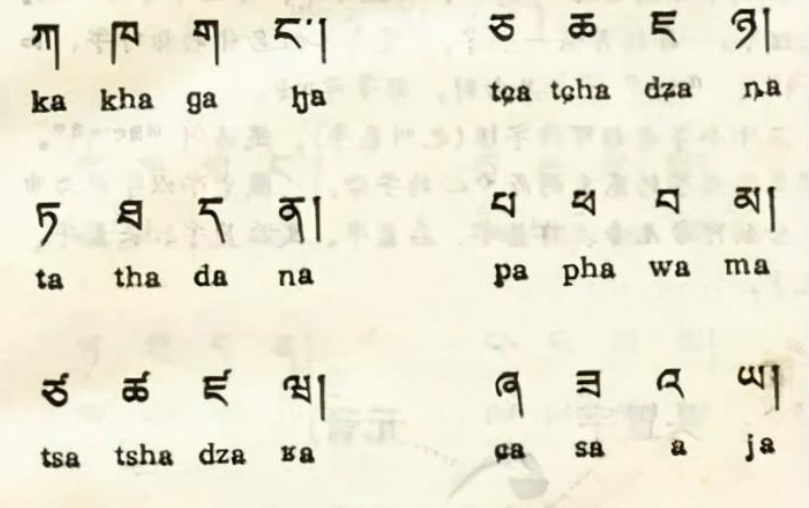 Mandrin Chinese and Tibetan Language have many similarities