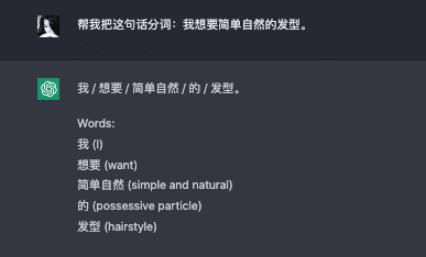Use ChatGPT to segment Chinese words, asking the question in Chinese